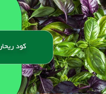 کود ریحان