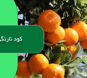 کود نارنگی