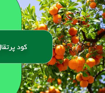 کود پرتقال