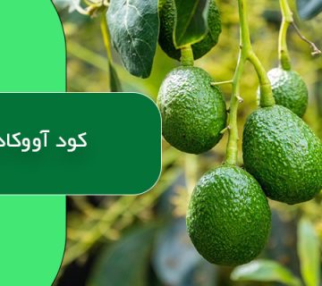 کود آووکادو