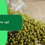 کود ماش