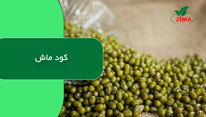 کود ماش
